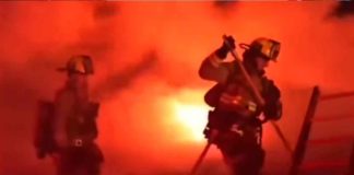 #Video // Hombre pierde su casa en incendio, pero el rescate de su gato le devuelve la esperanza