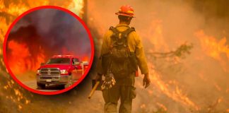 #VIDEO | Nuevo incendio en California devasta 200 hectáreas
