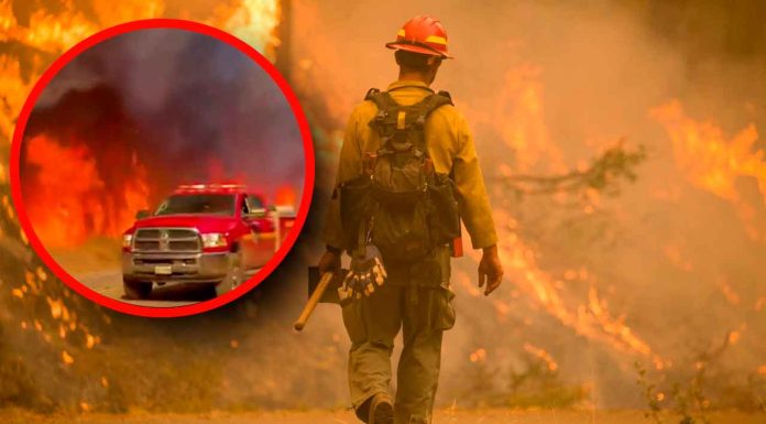 #VIDEO | Nuevo incendio en California devasta 200 hectáreas