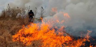 #VIDEOS | Bomberos sofocan incendio de pastizal cerca del Hospital Regional de Apatzingán