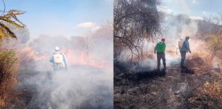 #Imágenes | Brigada de Ecología Puruándiro atiende reporte de incendio