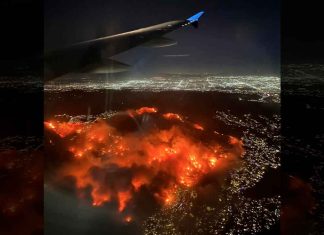 #VIDEO | Bomberos mexicanos llegan para ayudar a combatir los incendios en California