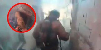 #VIDEO | Perro encadenado a un inmueble en llamas logra salvarse gracias a los bomberos