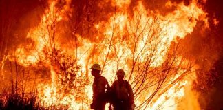#VIDEO | Cuarto día de incendios en California: Suman 10 personas muertas y cientos de pérdidas materiales