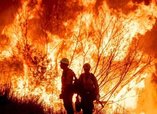 #VIDEO | Comienza la identificación de los fallecidos tras incendios en California