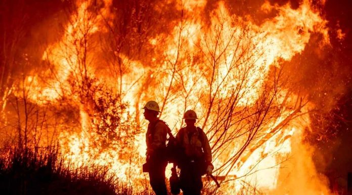 #VIDEO | Cuarto día de incendios en California: Suman 10 personas muertas y cientos de pérdidas materiales