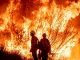 #VIDEO | Comienza la identificación de los fallecidos tras incendios en California