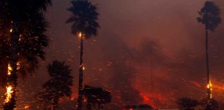 #VIDEOS | Declaran estado de emergencia en California por incendios forestales incontrolables