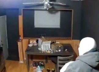 #VIDEO | Ladrón irrumpe en domicilio para robar, pero el dueño lo sorprende a balazos