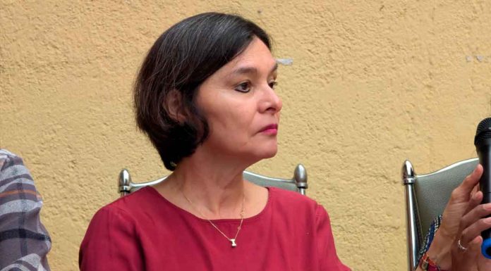 Entregará Movimiento Universitario por una Reforma Plural y Legal solicitud a poderes ejecutivo, legislativo y rectoría en torno a consulta plena de la reforma en la UMNSNH