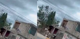 #VIDEO | Hombre golpea brutalmente a un perro en azotea, vecinos exigen justicia