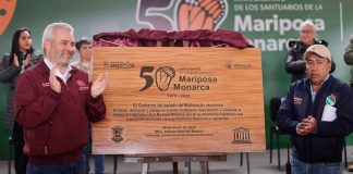 Guardián Forestal vigila permanentemente la Reserva de la Biósfera de la Mariposa Monarca: Bedolla