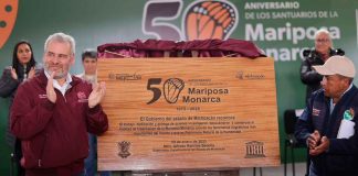 #Galería | Reitera Bedolla compromiso irrenunciable con la Mariposa Monarca