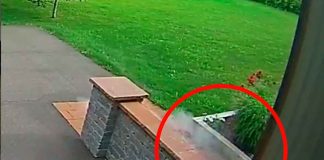 #VIDEO #Viral | Se vuelve a hacer viral el video de la cámara de seguridad que captó el momento en que un meteorito impactó en la entrada de una residencia