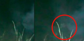 #VIDEO | ¿Nahual o fake? Jóvenes captan en video a posible nahual transformándose