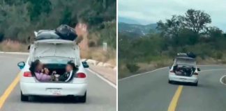#VIDEO | #México: Menores viajan en una cajuela abierta en plena carretera