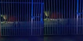 #VIDEO | ¿Aparición paranormal? Policías captan a niñas jugando dentro de una primaria en la madrugada