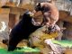 #VIDEO | Osito negro del Zoológico de Morelia cumple un año y festeja a lo grande
