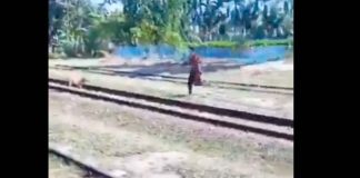 #VIDEO | Mujer intenta rescatar a su perro de las vías del tren, pero no logra agarrarlo