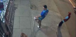 #Video // Hombre golpea a perrito con una piedra; el can requirió cirugía