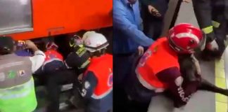 #VIDEO | ¡Todas las vidas cuentan! Rescatan a perrito que quedó atrapado en las vías del Metro