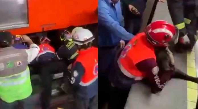 #VIDEO | ¡Todas las vidas cuentan! Rescatan a perrito que quedó atrapado en las vías del Metro