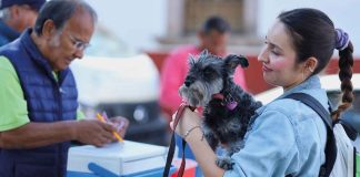 Martes arrancan esterilizaciones gratuitas en Pátzcuaro, Tarímbaro y Morelia