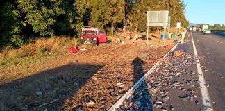 Camioneta cargada con pescados se accidenta en la autopista Siglo XXI