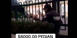 #VIDEO | Policías en México piden ‘mordida’ de 8 mil pesos a turistas