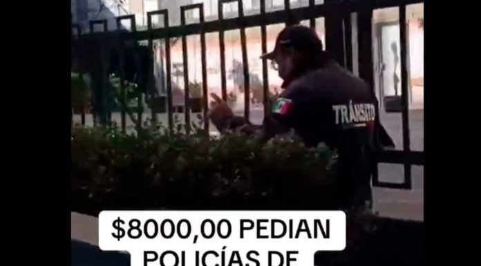 #VIDEO | Policías en México piden ‘mordida’ de 8 mil pesos a turistas