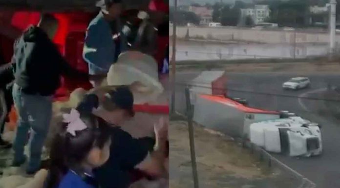 #VIDEO | Camión que transportaba pollos vuelca y los vecinos aprovechan y se llevan 20 toneladas de pollo