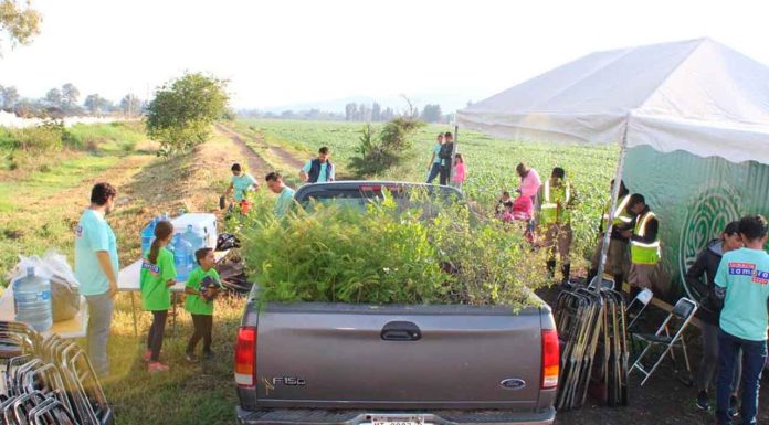 Desincorporarán área federal para proyecto “vía verde” en Zamora