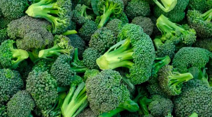 #Imágenes | ¡El brócoli en Texas es retirado en Walmart por riesgo de listeria!