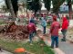 En Pátzcuaro personal del ayuntamiento realiza retiro de una palmera que representaba riesgo para los vecinos