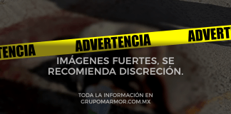 Mutilan orejas a perrito y es abandonado en la vía pública