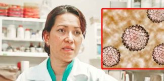 Eva Ramón Gallegos: la científica mexicana que erradicó el VPH