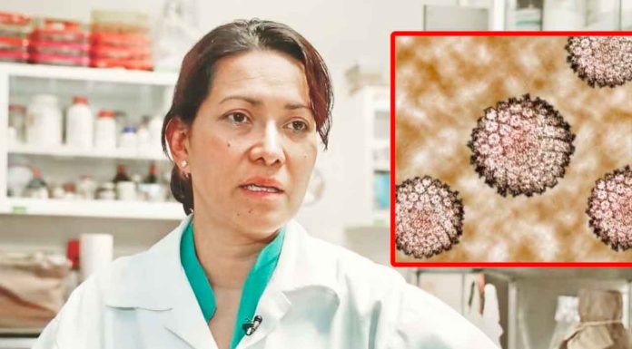 Eva Ramón Gallegos: la científica mexicana que erradicó el VPH