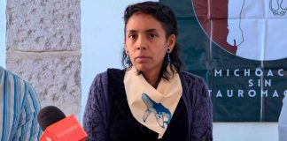 Refiere Colectivo de Animalistas Anitespecistas de Michoacán más de 90 denuncias por tauromaquia