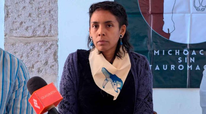 Refiere Colectivo de Animalistas Anitespecistas de Michoacán más de 90 denuncias por tauromaquia