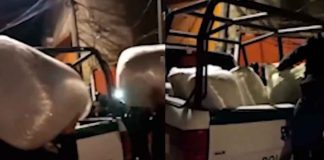 #Video // Hallan media tonelada de marihuana tras cateo, dos mujeres detenidas