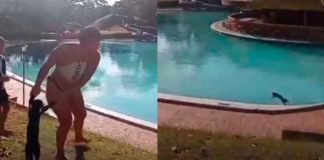 Denuncian a mujer por maltrato animal tras intentar lanzar gatito a piscina en Club Paracotos
