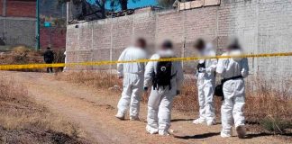 #Imágenes // Hallan a hombre asesinado en baldío de la colonia Ampliación Gertrudis Sánchez, Morelia