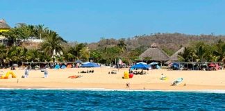 Ballenas cautivan durante su paso por las playas michoacanas