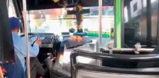 #Video // Perro viaja cómodamente en el tablero de un camión: ¿El verdadero jefe?