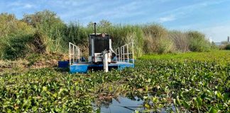 Avanza la recuperación del manantial de La Mintzita; se han limpiado 1.3 hectáreas: Compesca