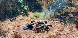 #Imágenes | Se localizan y destruyen en Tierra Caliente 60 explosivos para dron y campamentos ilícitos: SSP