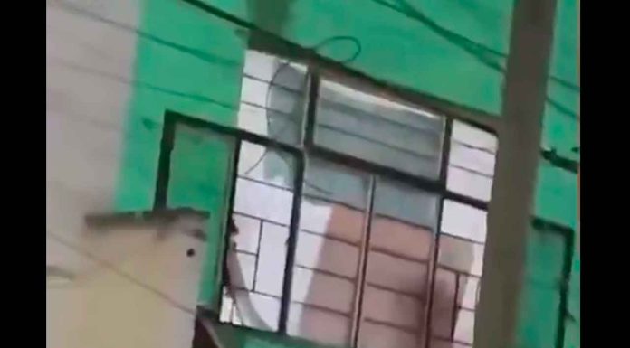 #VIDEO | #México: Hombre se desquita con su hijo a ‘cinturonazos’; policías nunca llegaron