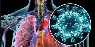 #VIDEO | Confirman el primer contagio y posible muerte por Metapneumovirus humano en Puebla