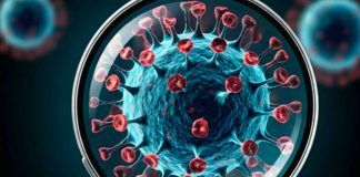 Metapneumovirus humano no representa una amenaza para el país: David Kershenobich