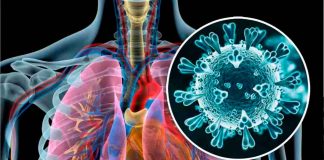 Detectados 2 casos de metapneumovirus humano en Nuevo León